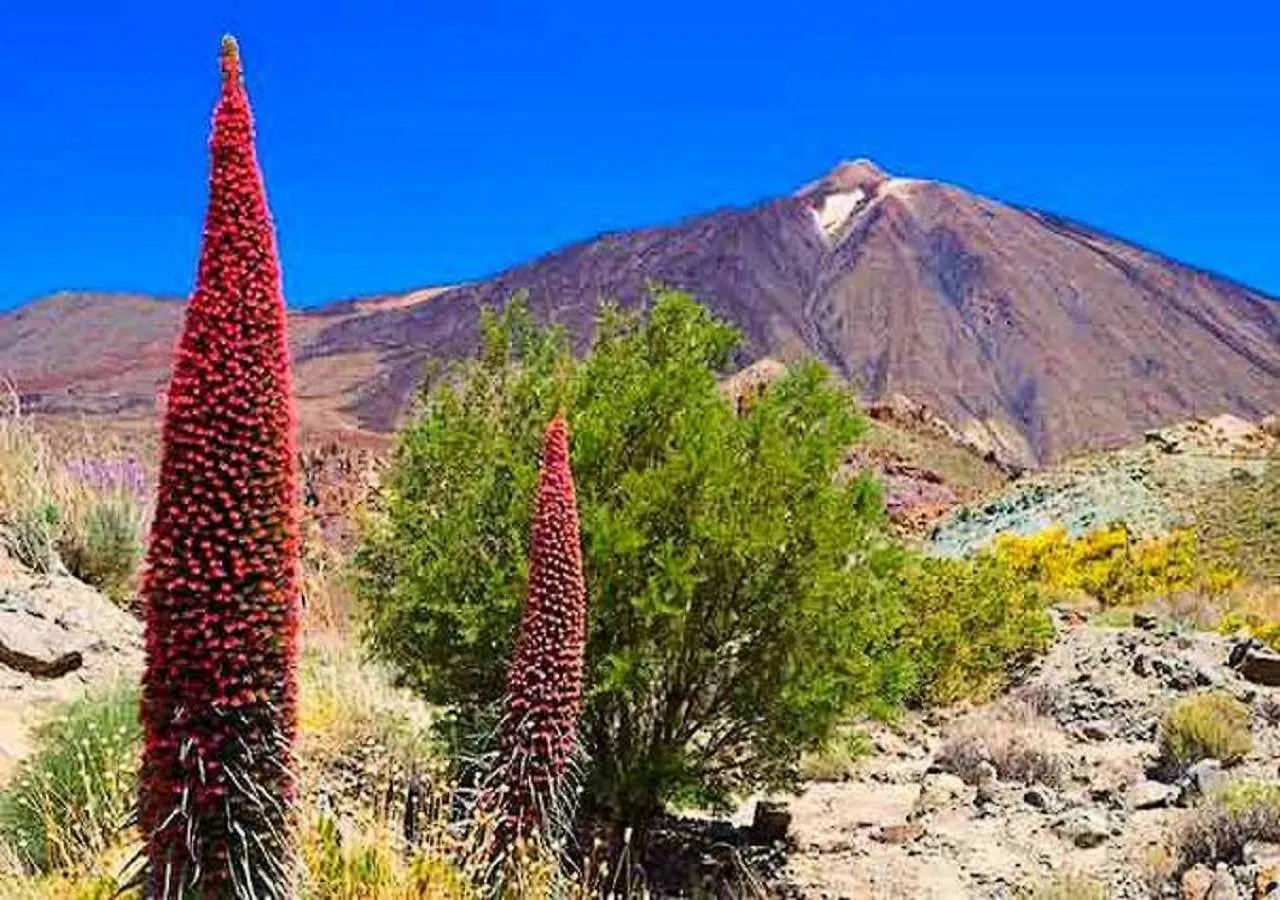 Casa Tayri De Tamaide Tenerife Sur San Miguel de Abona Spain